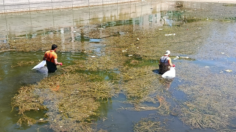Manzara vahim, tepki çekti,ekipler harekete geçti