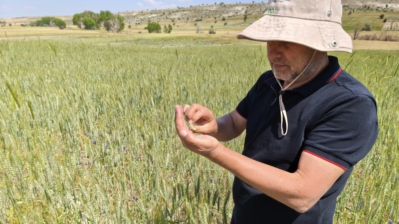 Çiftçilerle buluşulup ekili alanlar kontrol ediliyor