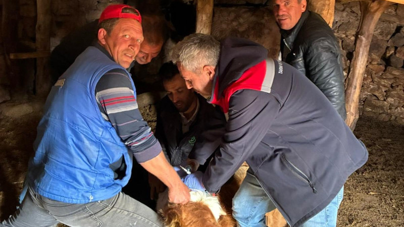 Beyşehir’de şap aşılamasında yeni seferberlik!