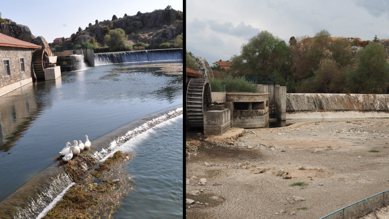 Bu halini görenler gözlerine inanamadı!