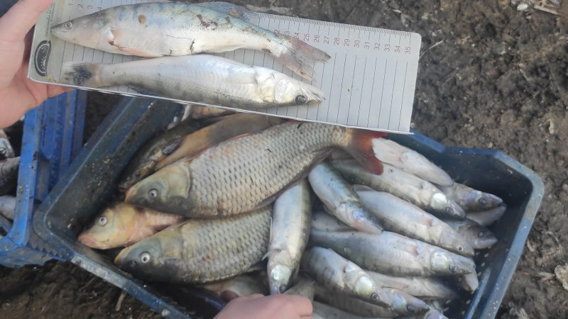 Suları çekilen gölde avcılık faaliyetlerine sıkı denetim