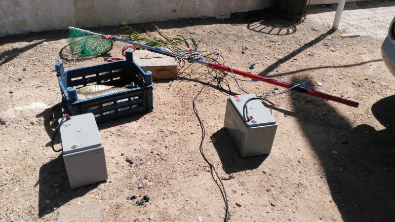 Elektroşokla balık avlamaya ağır yaptırım talebi! 