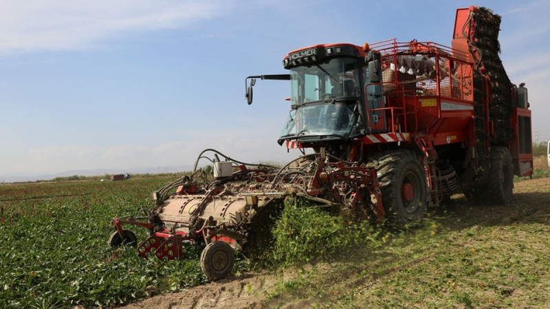 Pancar üreticisine 180 milyon liralık söküm avansı dağıtılacak