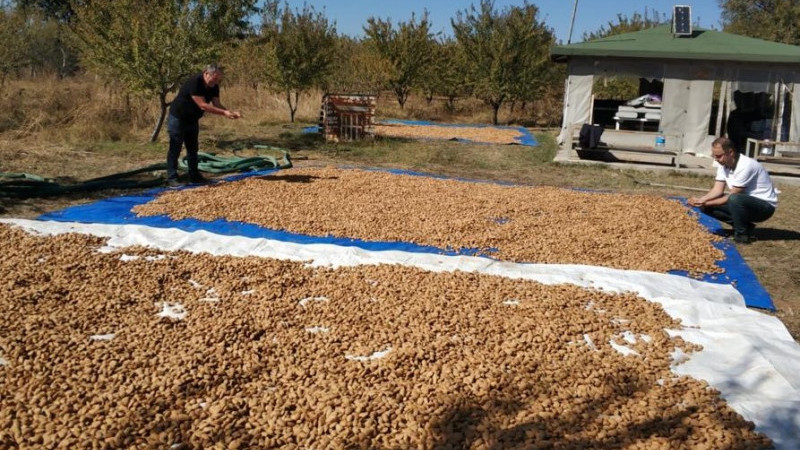 Beyşehir’de Tarım Müdürlüğü üretici el ele, hastalık zararlı güle güle