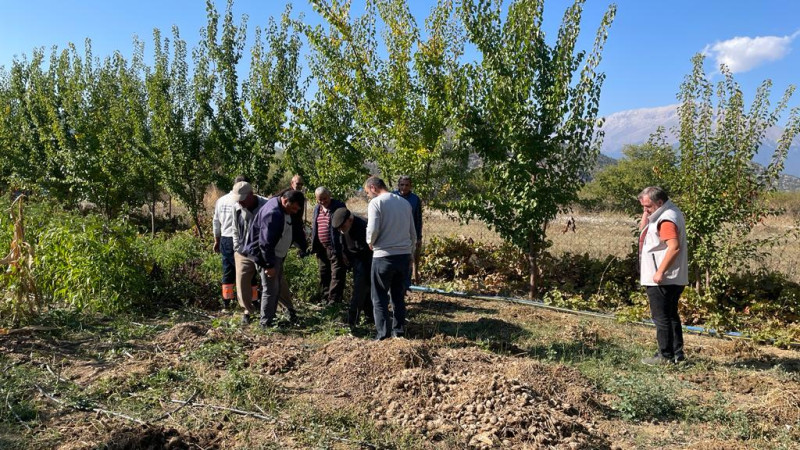 Çiftçilere tarla faresiyle mücadelede uygulamalı eğitim