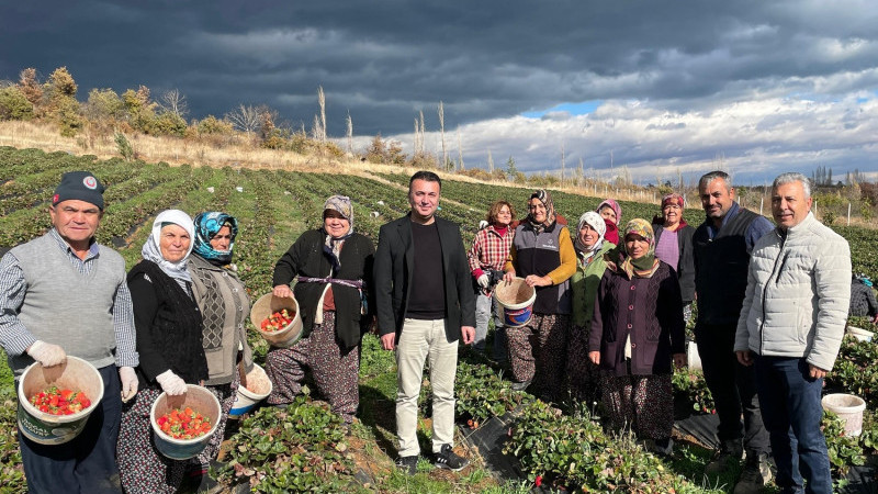 Özver, Beyşehirli çilek yetiştiricileriyle bir araya geldi