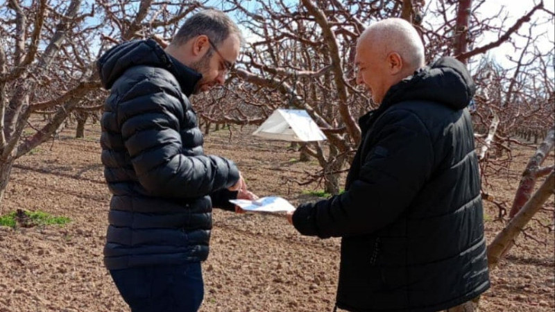 Meyve bahçelerinde ürün kaybına karşı hasat dönemine kadar sıkı takip