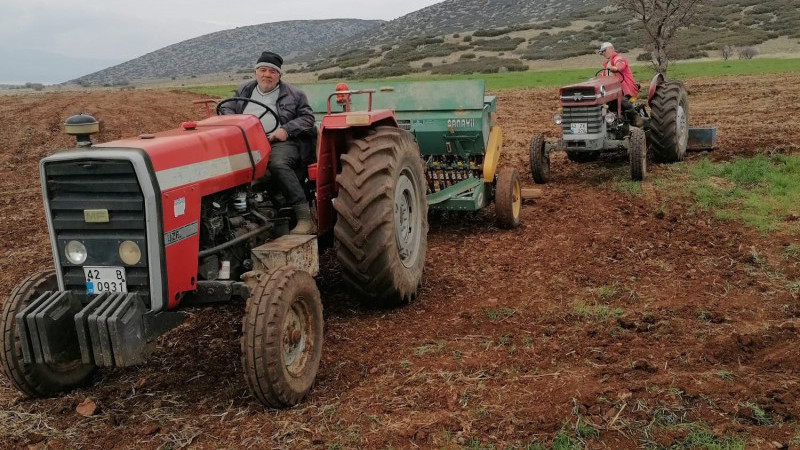 Hüyük’te atıl tarım alanları aspir ekilerek üretime kazandırılıyor