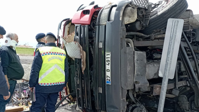 Elma yüklü TIR devrildi, tonlarca elma etrafa saçıldı