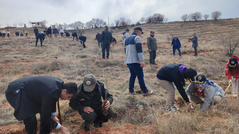 Yeşil vatana yeni fidanlar kazandırmak için buluştular