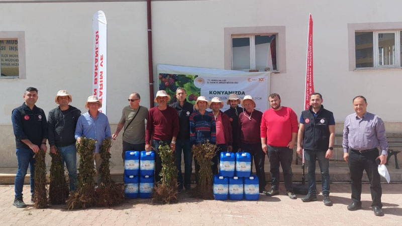 Bu ilçede çilekten sonra  böğürtlen yetiştiriciliği de gözde olacak