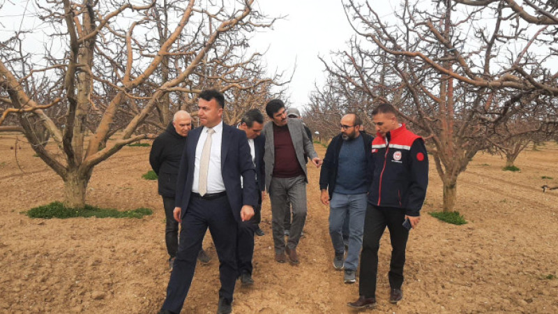 Beyşehir’in en gözde elma bahçesine ziyaret