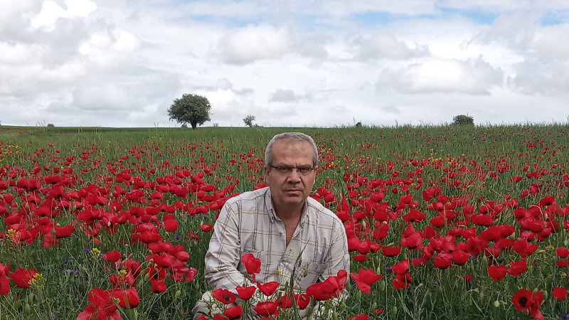 Ekin tarlaları gelincik açtı