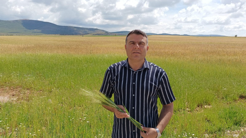 Yağışlar Hüyük'te de çiftçilerin yüzünü güldürdü