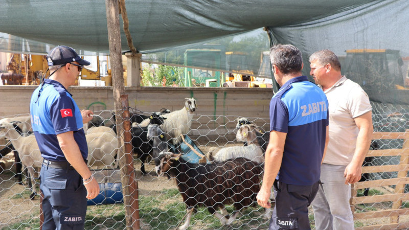 Beyşehir'de bayram mesaisi sürüyor