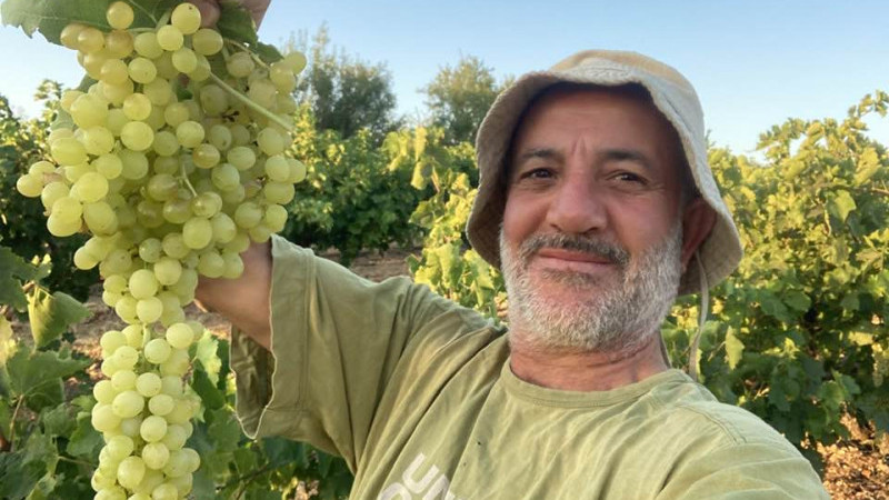 Beyşehir'in mahallelerinde şimdi bağ bozumu zamanı