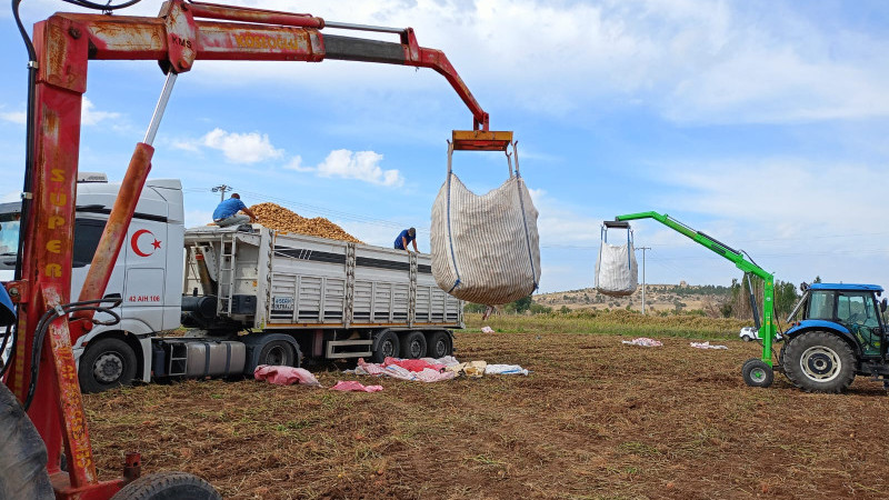 Cipslik patates üretim alanlarında hasat mesaisi başladı