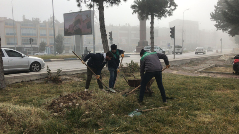 Ağaçlandırma seferberliğinde hedef büyüttüler