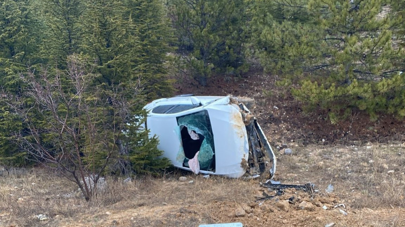 Beyşehir'de otomobil ormanlık alana devrildi,2 kişi yaralandı