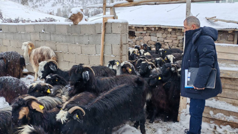 Veterinerler sahaya çıktı, besicilerle buluştu