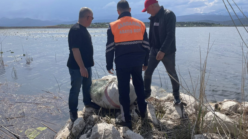 Yazıklar olsun! Göl sularında yüzlerce metre yasak ağ ele geçirildi