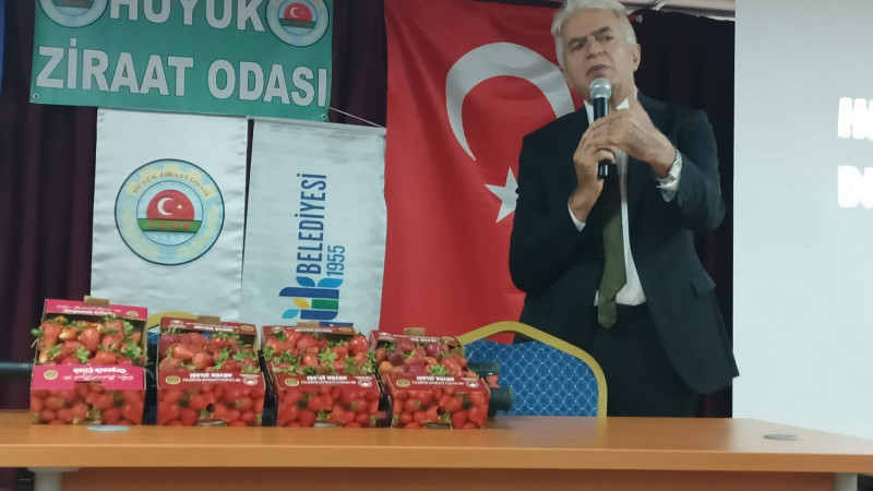Hüyük’te ilk hasat! 3-4 bin lira arasında alıcı buldu