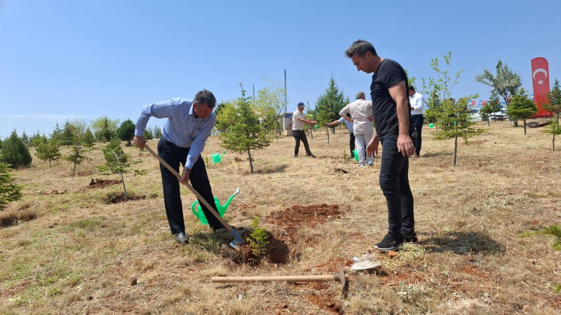 15 Temmuz Şehitleri Anısına Fidanlar Toprakla Buluştu