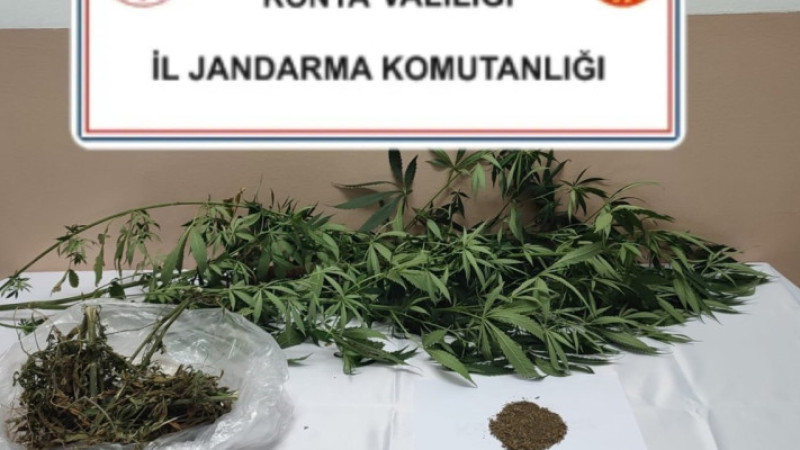  Jandamadan zehir tacirlerine darbe
