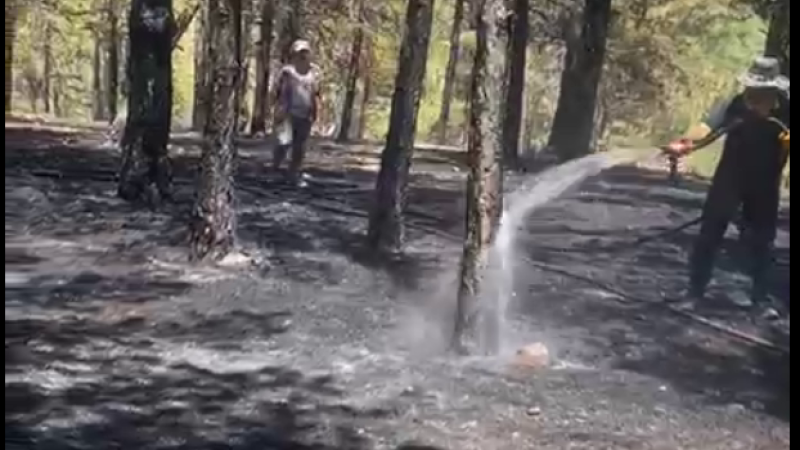 Yangın faciasının eşiğinden dönüldü. İki ayrı ormanlık alanda yangın çıktı