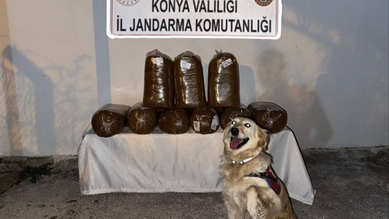 Yolcu otobüsünde kaçak tütün ele geçirildi