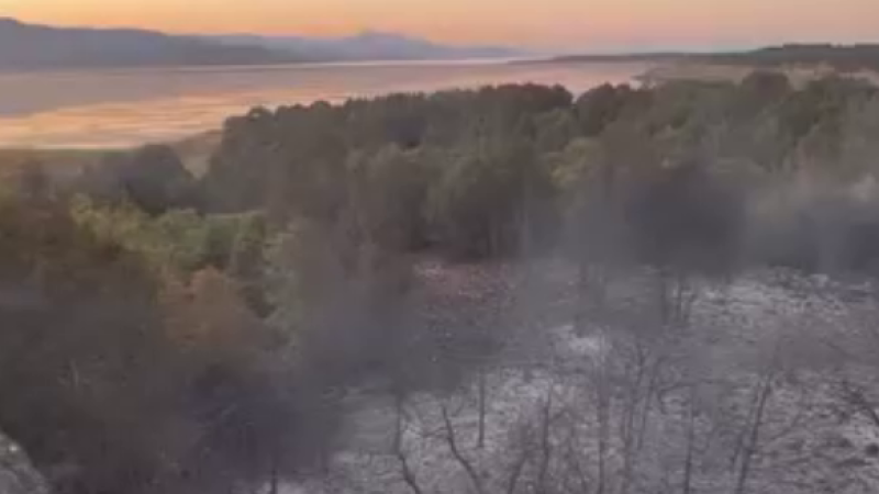 Sazlık alanda çıkıp ormana sıçrayan yangın kontrol altına alındı
