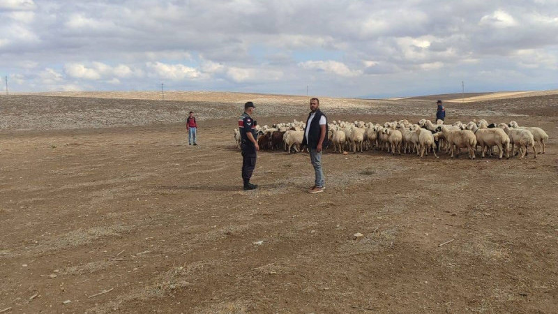 Kayıp koyunlar jandarma dronuyla bulundu  