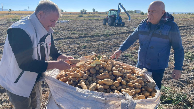 Beyşehir, patates üretiminde de iddialı! Tarlalarda hasat başladı
