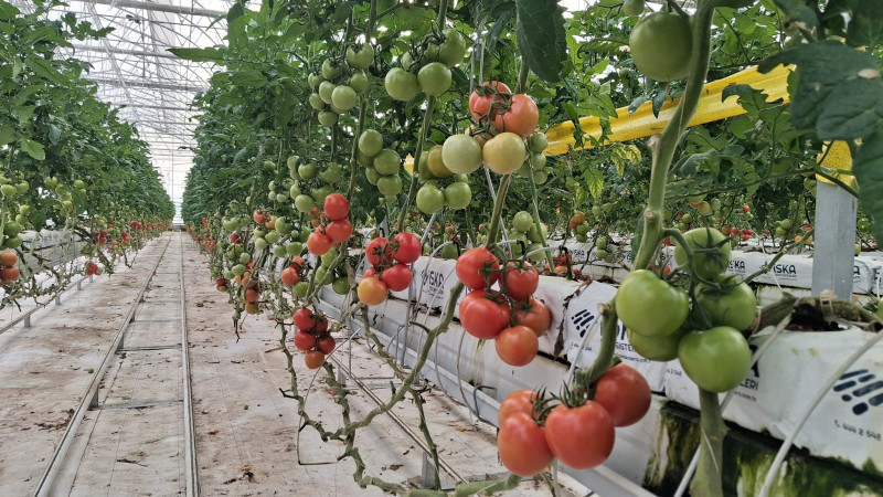 Tarımın geleceği bu serada yazılıyor
