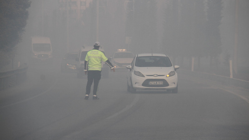 Sazlık alanda yangın, yükselen dumanlar karayolunu da kapladı